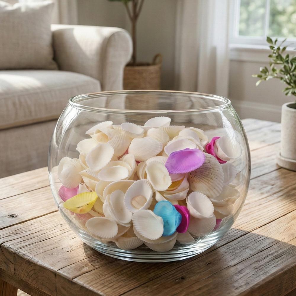 Decorative Seashells Set (1 Set) - Application: As Per Product Requirement