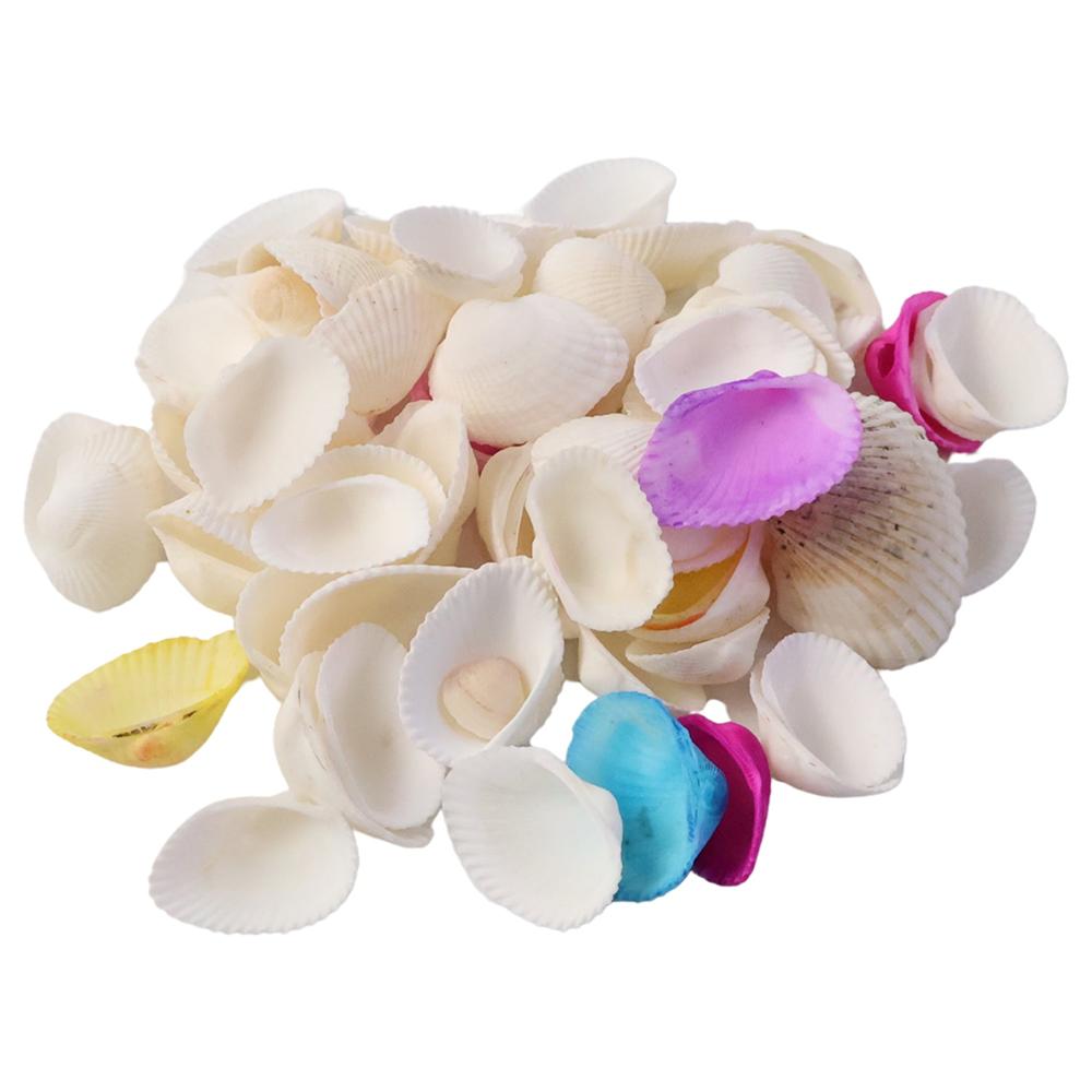 Decorative Seashells Set (1 Set) - Application: As Per Product Requirement