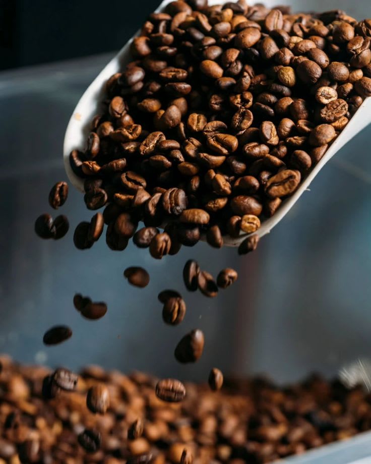 Roasted Coffee Beans