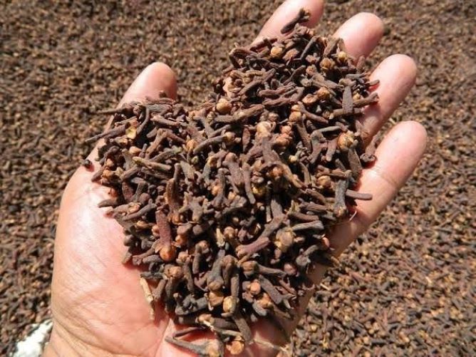 ब्लैक क्लोव्स ग्रेड: A