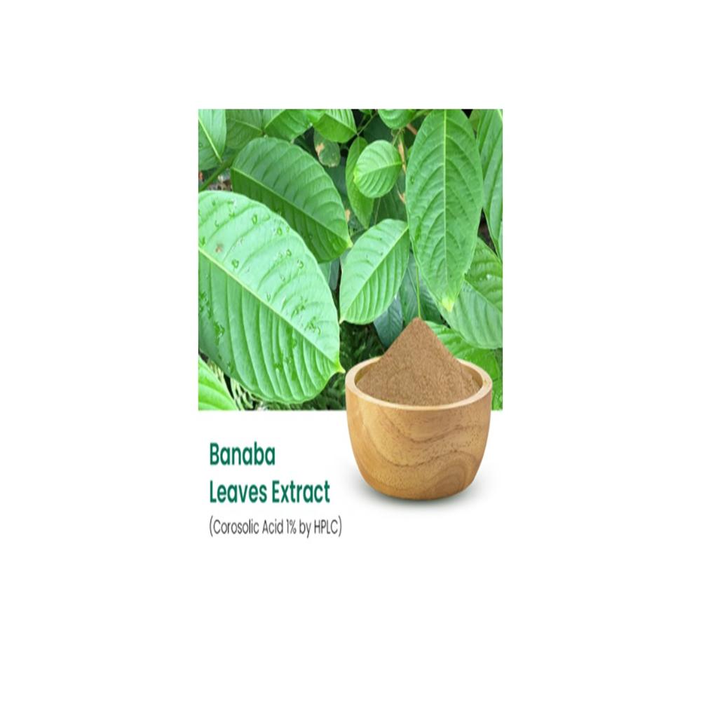Banaba Extract - Color: Brown