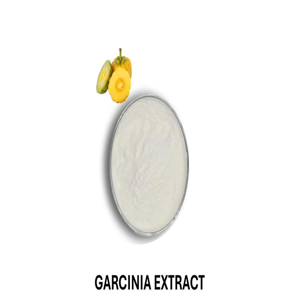Garcinia Extract 60 % HPLC