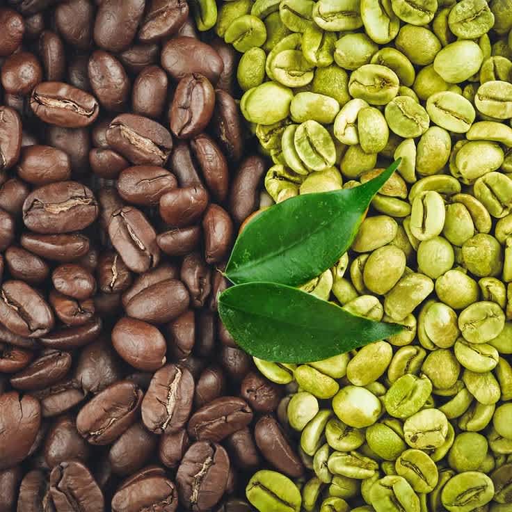 Green Coffee - Grade: A