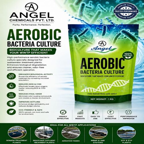Aerobic Bacteria Culture