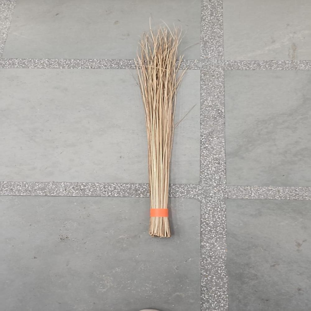 HARI RAM GULAB RAI COCONUT STICK BROOM