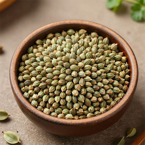 Premium Coriander (Dhania) - Color: Light Brown To Yellowish-Green