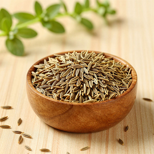 Premium Jeera (Cumin Seeds) - Color: Brownish-Green