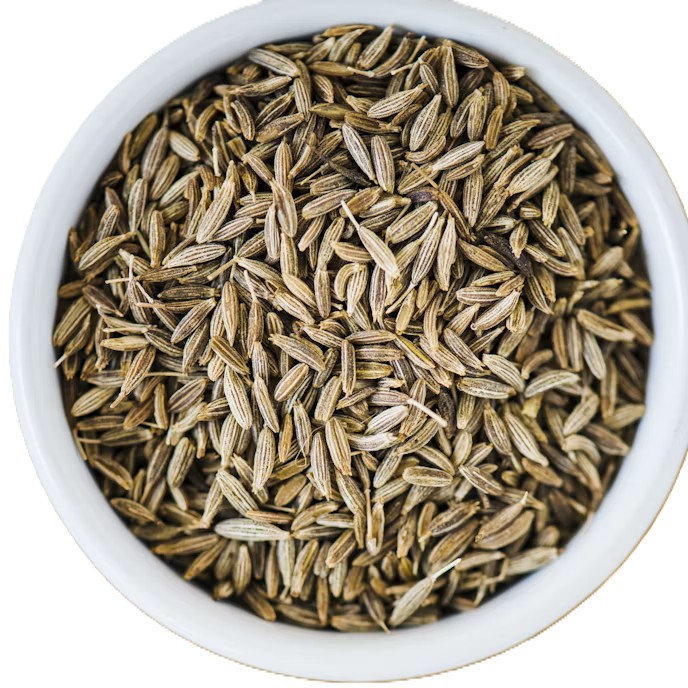 Premium Jeera (Cumin Seeds) - Color: Brownish-Green