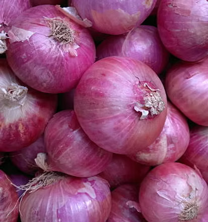 Premium Indian Onions