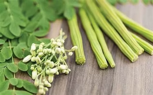 Premium Moringa