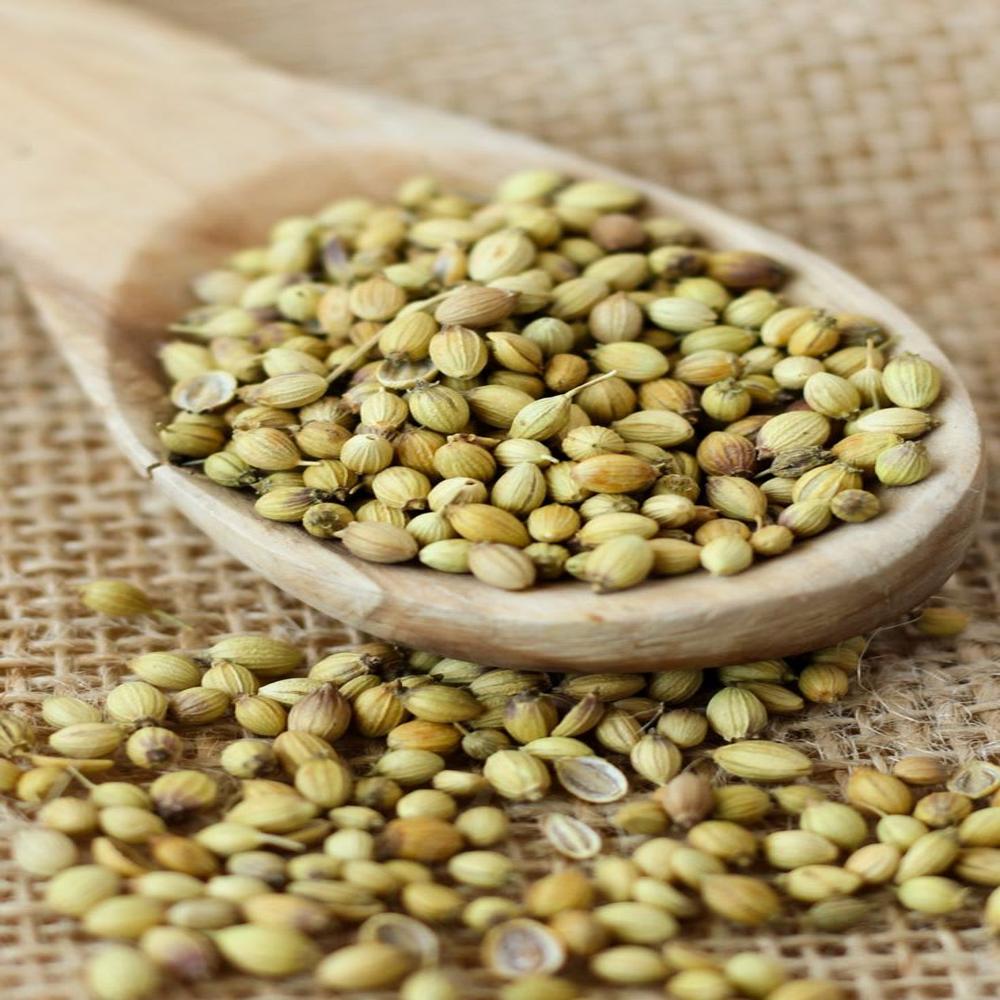 Coriander Seed - High-quality, All-natural, 100% Pure, Earthy Flavor Profile | Ideal For Cooking, Flavoring Vegetables, Poultry, Sweets, And Teas