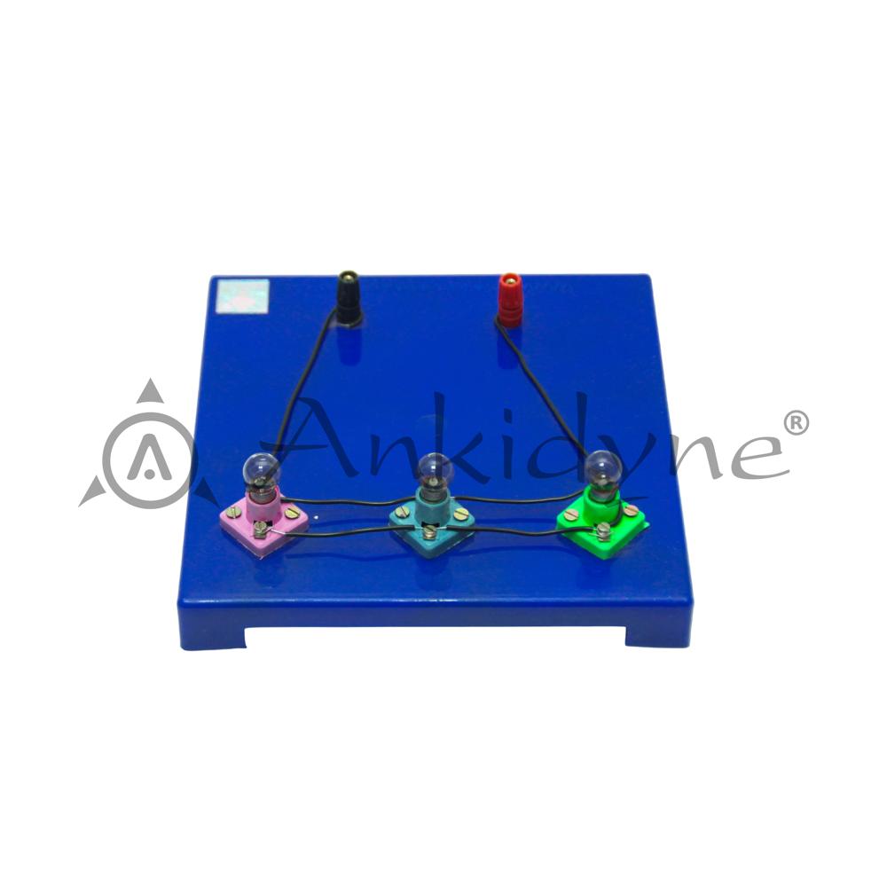 Domestic Circuit Parallel Model