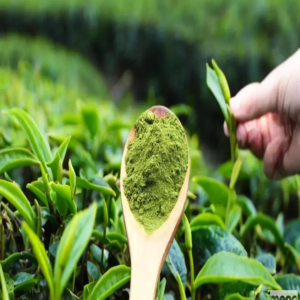 Tea Extract Powder - Aroma: Flower
