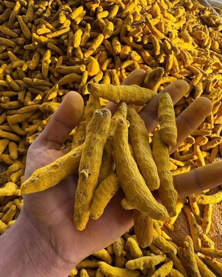 Turmeric Finger - Dried A-grade Yellow Pieces | Unadulterated Authentic Flavor, Health Supplement, No Preservatives
