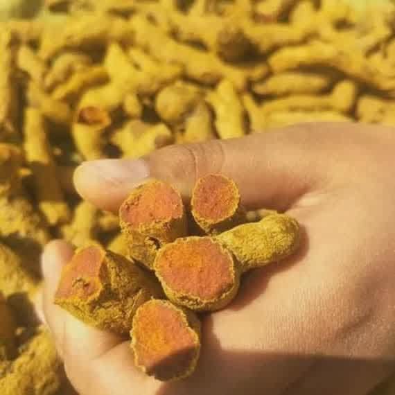 Turmeric Finger - Dried A-grade Yellow Pieces | Unadulterated Authentic Flavor, Health Supplement, No Preservatives