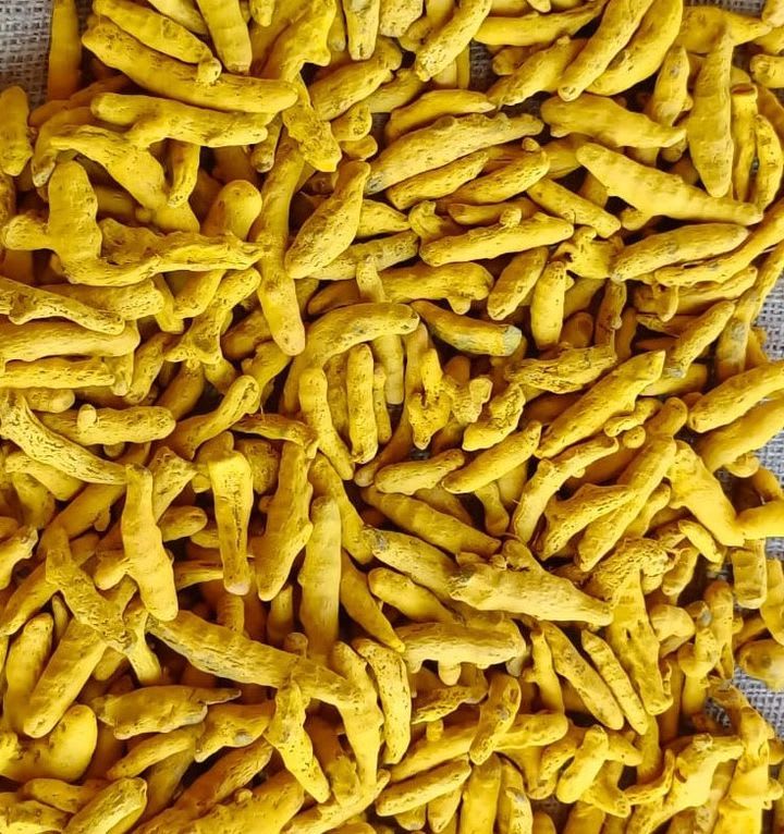 Turmeric Finger - Dried A-grade Yellow Pieces | Unadulterated Authentic Flavor, Health Supplement, No Preservatives