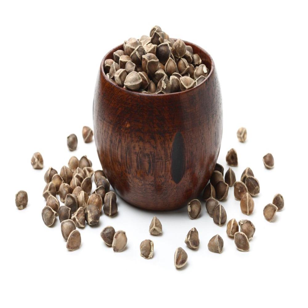 Moringa Seed - Grade: A