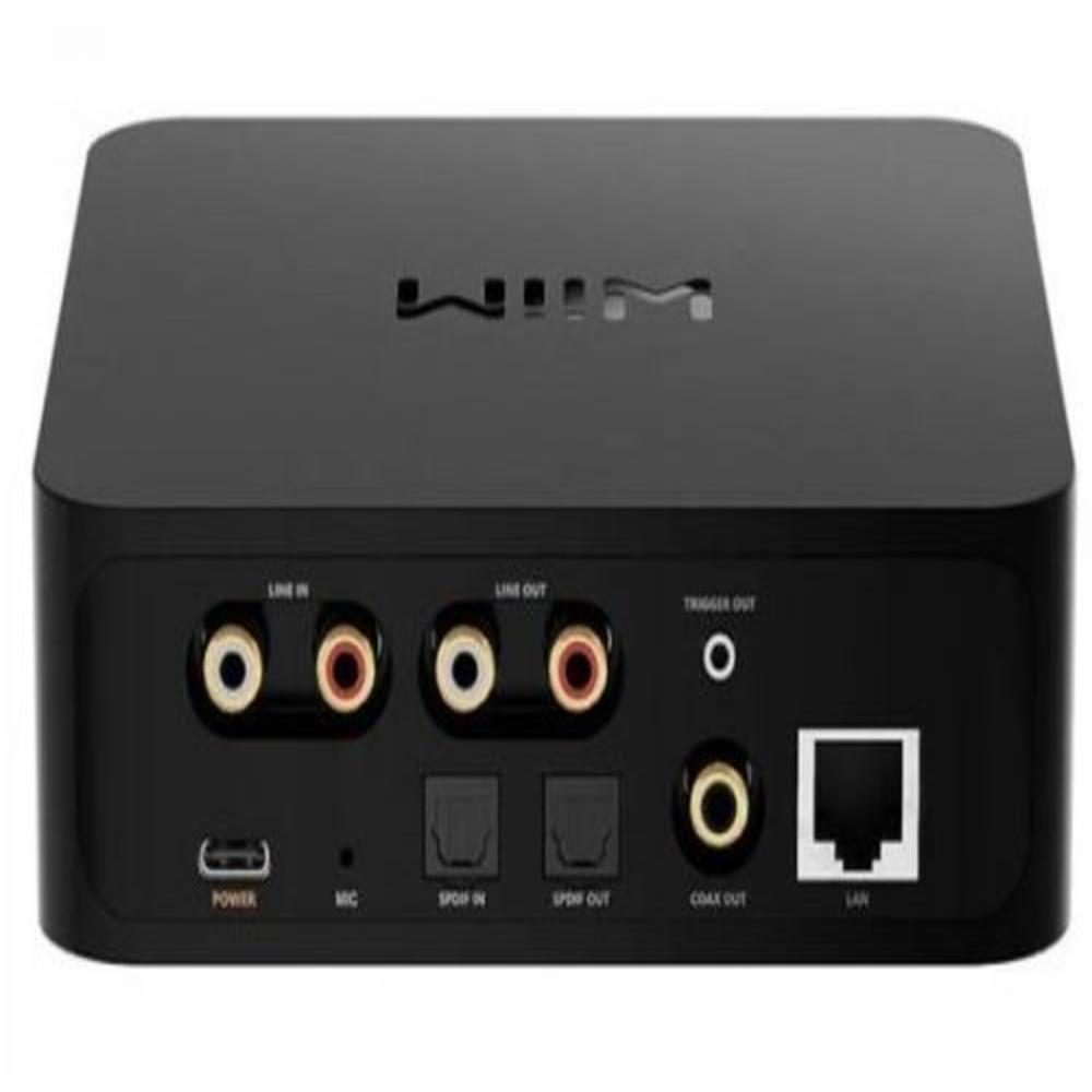 WIIM PRO
