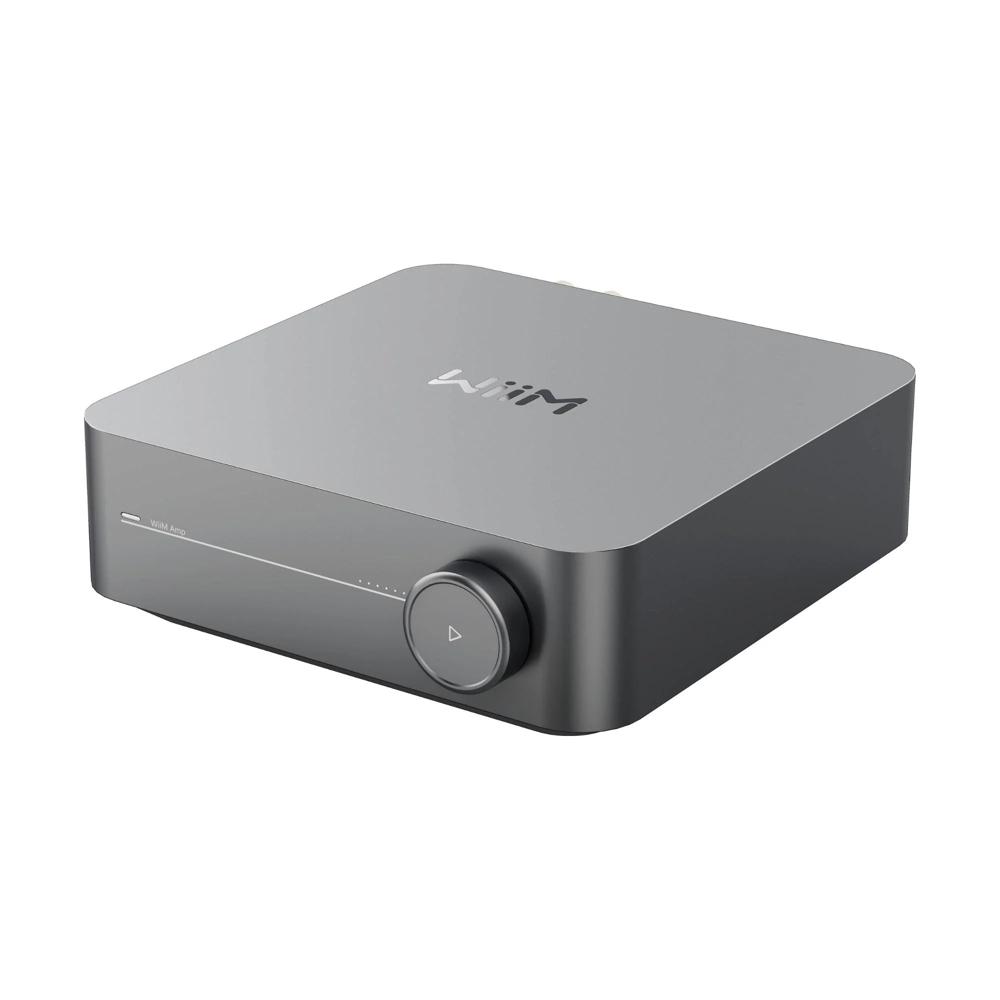 WIIM AMP