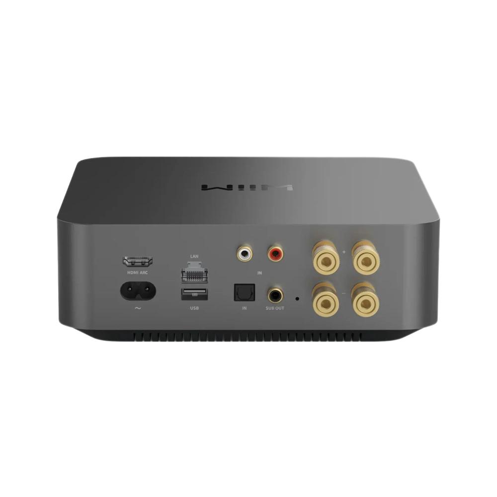 WIIM AMP PRO