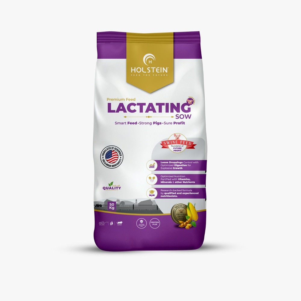 Swine Sow Lactation - Color: Brown