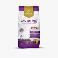 Holstein Swine Lactation Feed 50 Kg Premium Pig Feed for Lactating Sows, Milk Production & Sow Recovery