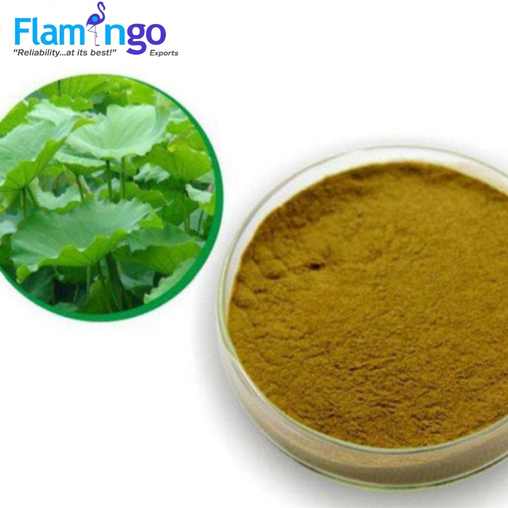Herbal Product Lotus Leaf Extract