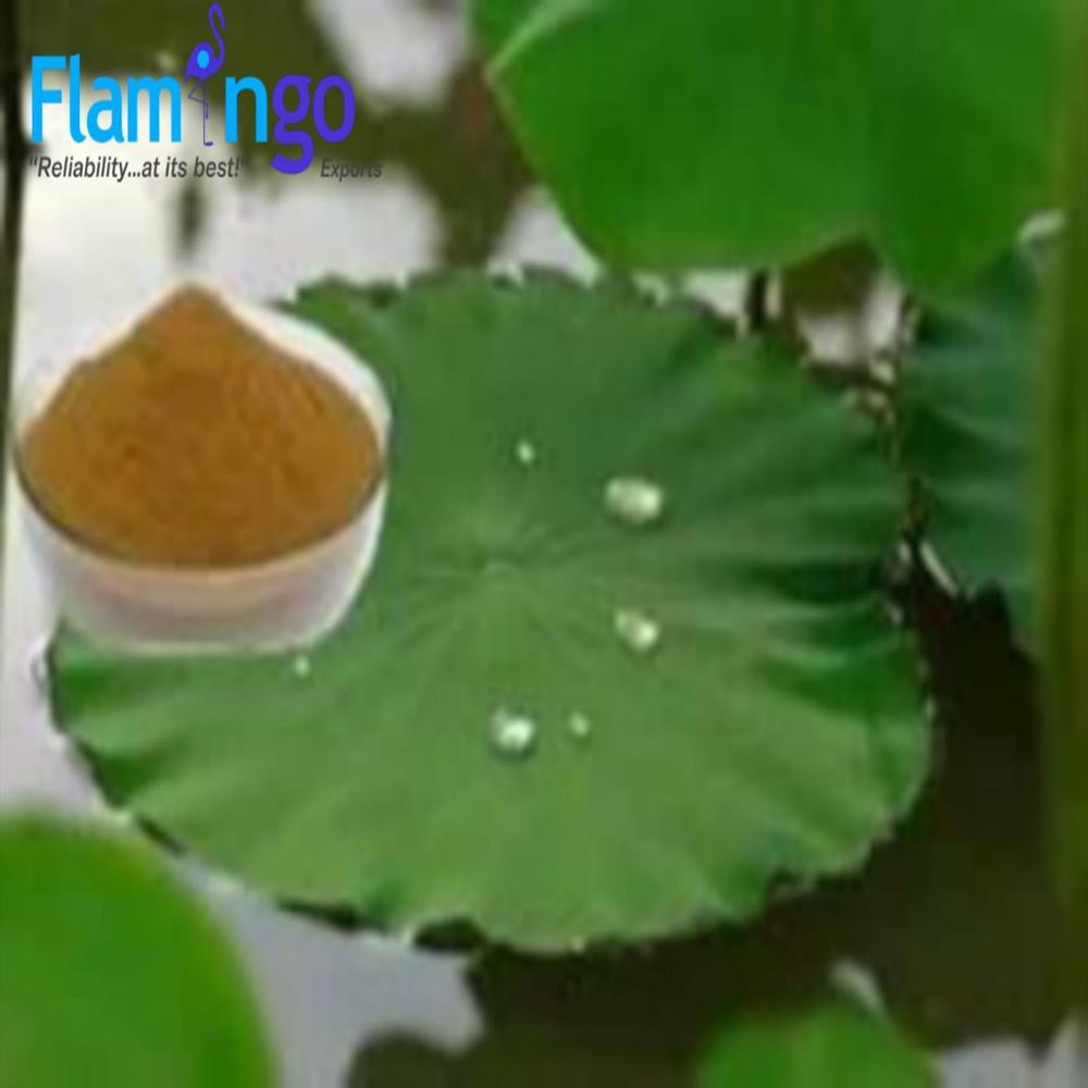 लोटस लीफ एक्सट्रैक्ट