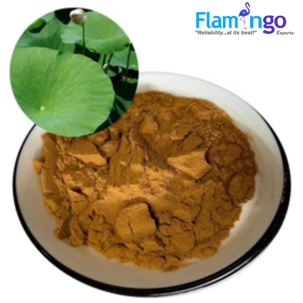 Herbal Product Lotus Leaf Extract