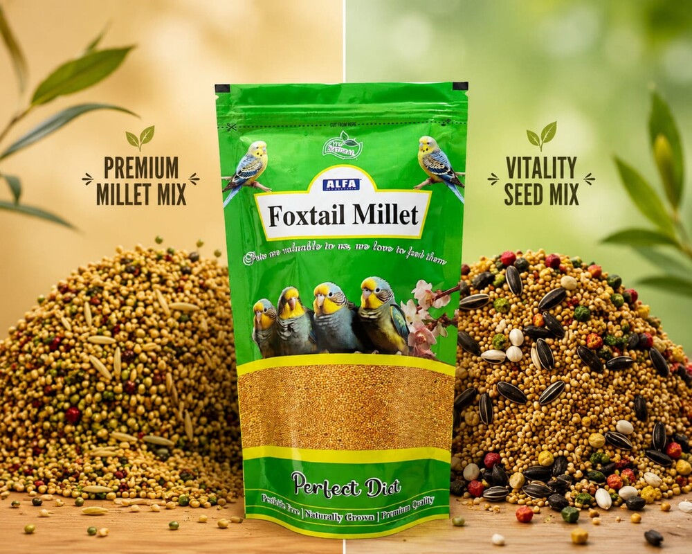 Bird Food Mix Seeds/ Millet