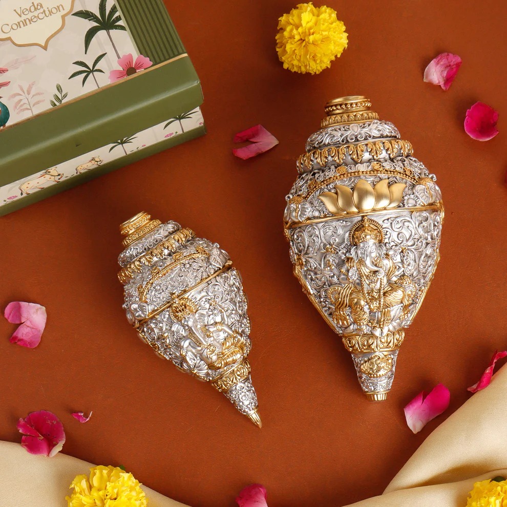 Ganesh Shankh (conch) - Length: 5 Inch (in)