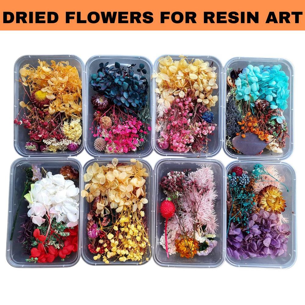 Dried Flowers For Resin Art