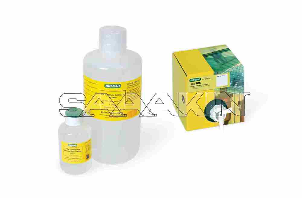 BioRad Electrophoresis Reagents