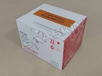 Thermo Fisher Invitrogen E-Gel NGS 0.8% Agarose Gels