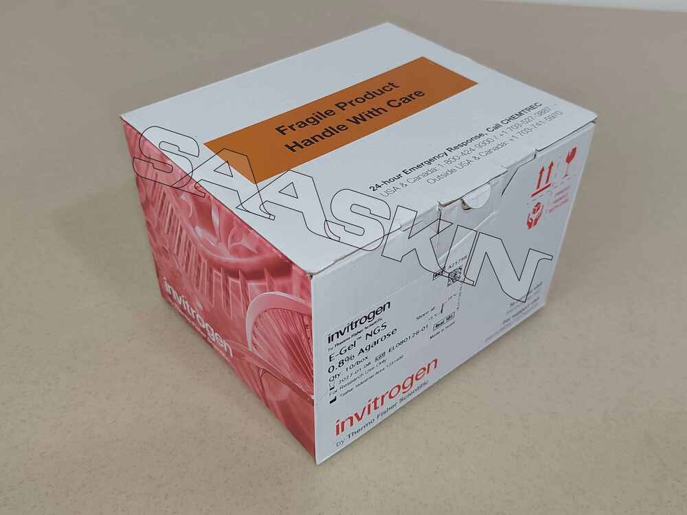 Thermo Fisher Invitrogen E-Gel NGS 0.8% Agarose Gels