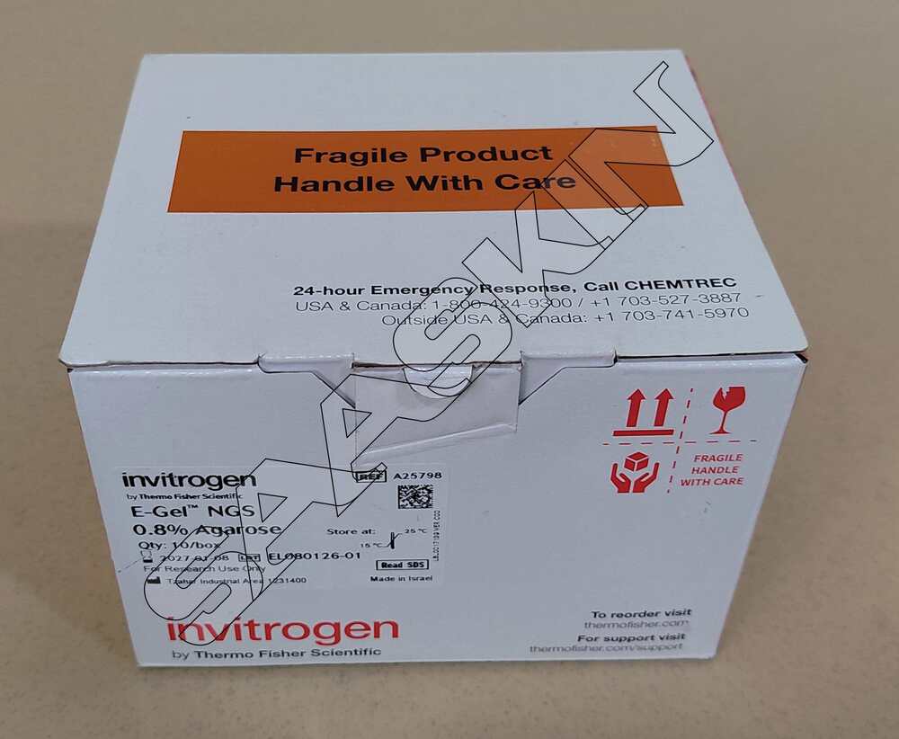 Thermo Fisher Invitrogen E-Gel NGS 0.8% Agarose Gels