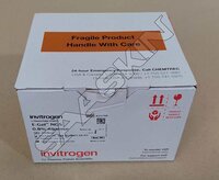 Thermo Fisher Invitrogen E-Gel NGS 0.8% Agarose Gels