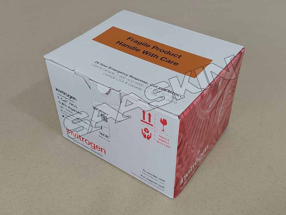 Thermo Fisher Invitrogen E-Gel NGS 0.8% Agarose Gels
