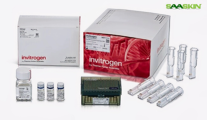 Thermo Fisher Invitrogen Neon NxT Electroporation System 100-micro Liter Kit with 1-Channel Tubes