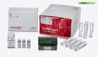 Thermo Fisher Invitrogen Neon NxT Electroporation System 100-micro Liter Kit with 1-Channel Tubes