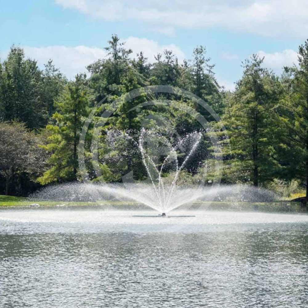 Floating Fountain
