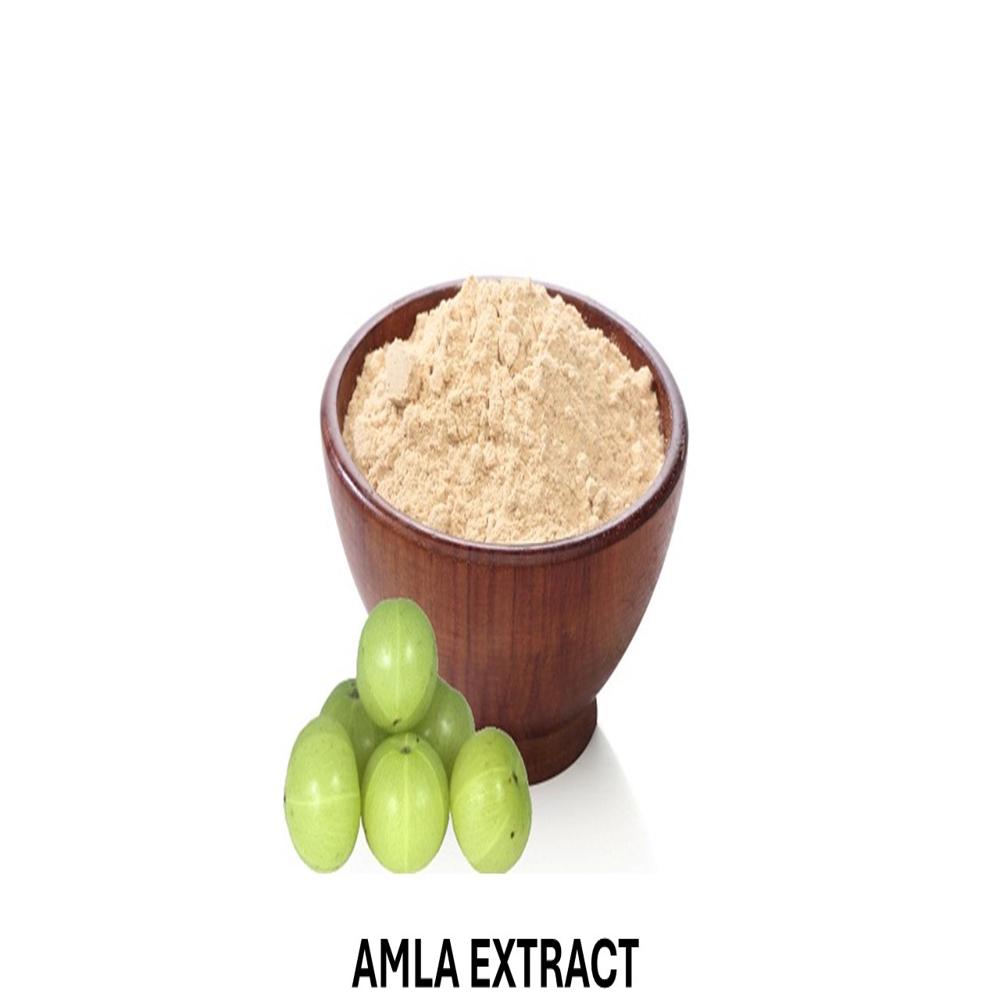 Amla dry Extract 20% 