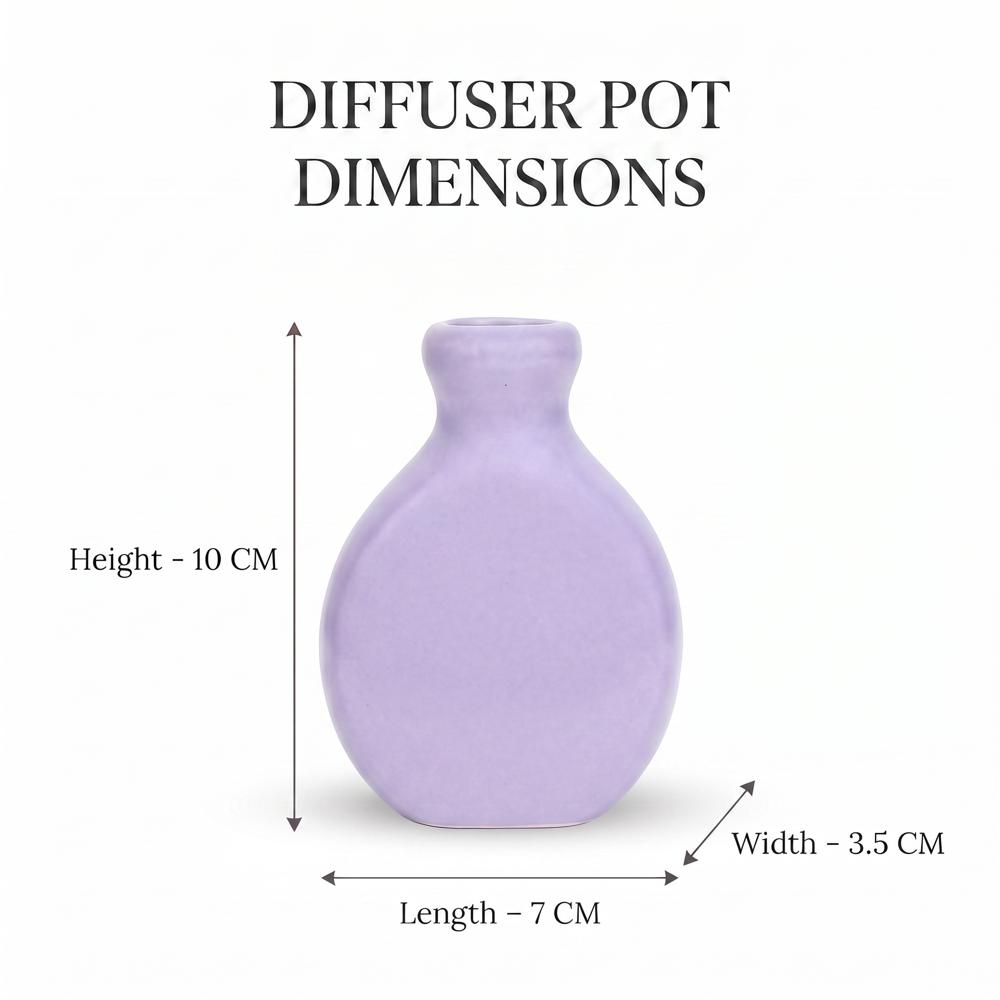 Ceramic Reed Diffuser Set 