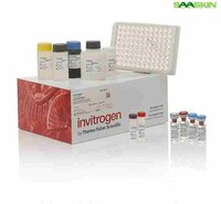 Thermo Fisher Invitrogen Human TNF alpha ELISA Kit