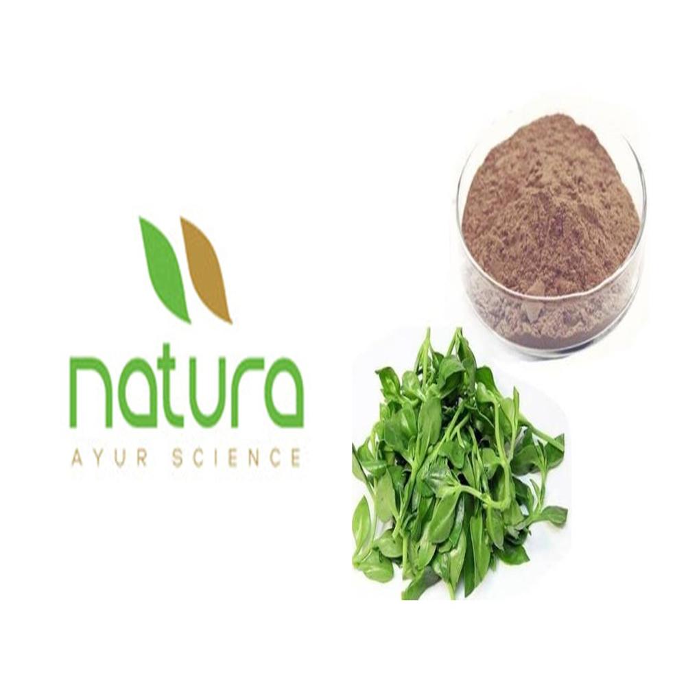Andrographis Dry extract 20% HPLC