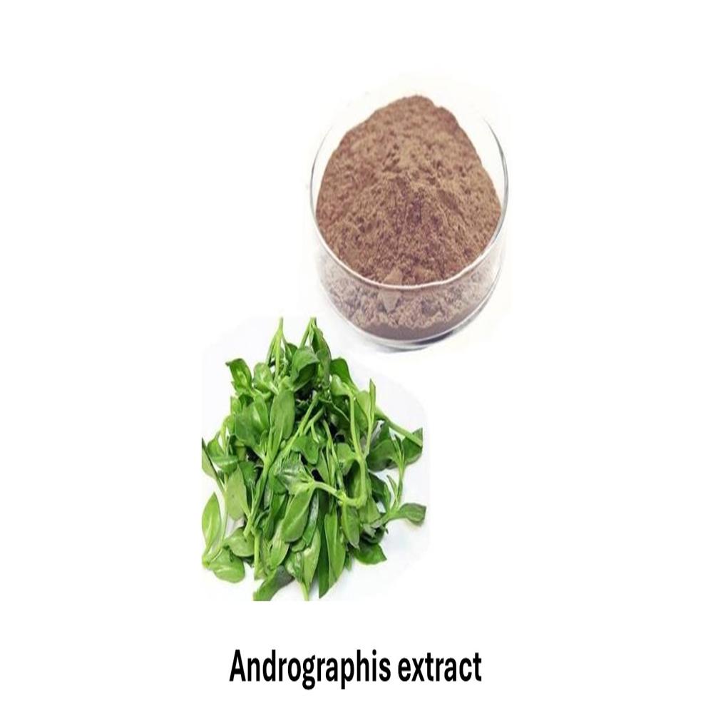 Andrographis Dry extract 20% HPLC