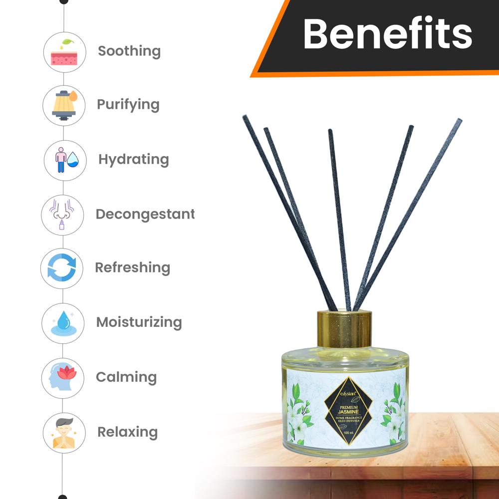 Glass Reed Diffuser Set