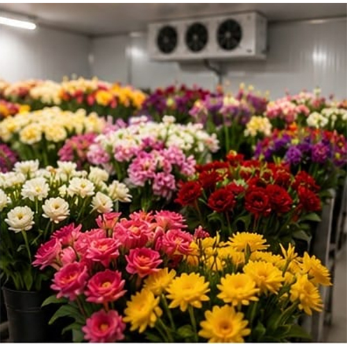 Flower cold storage