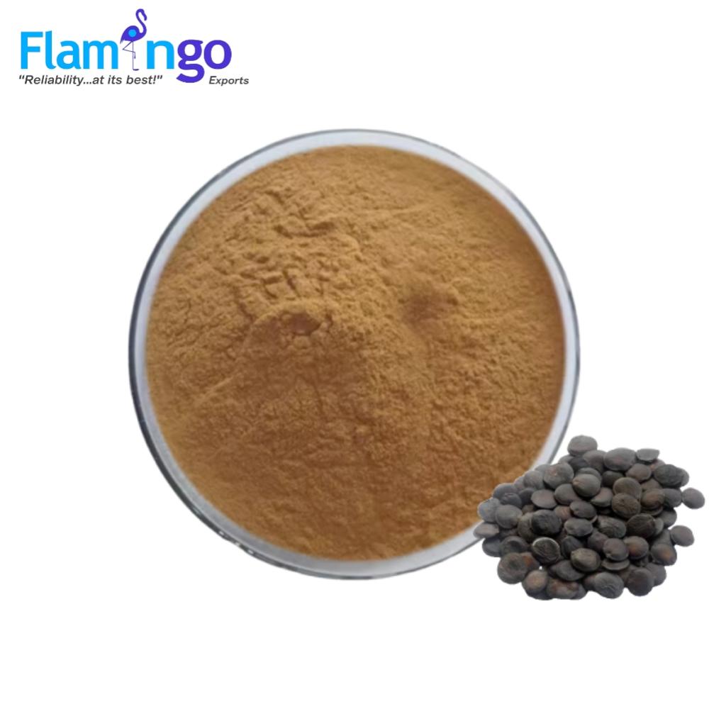 Griffonia Seed Extract