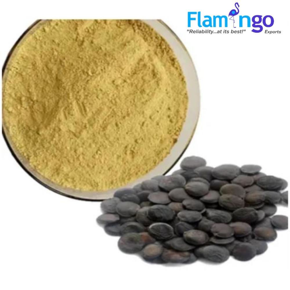 Griffonia Seed Extract